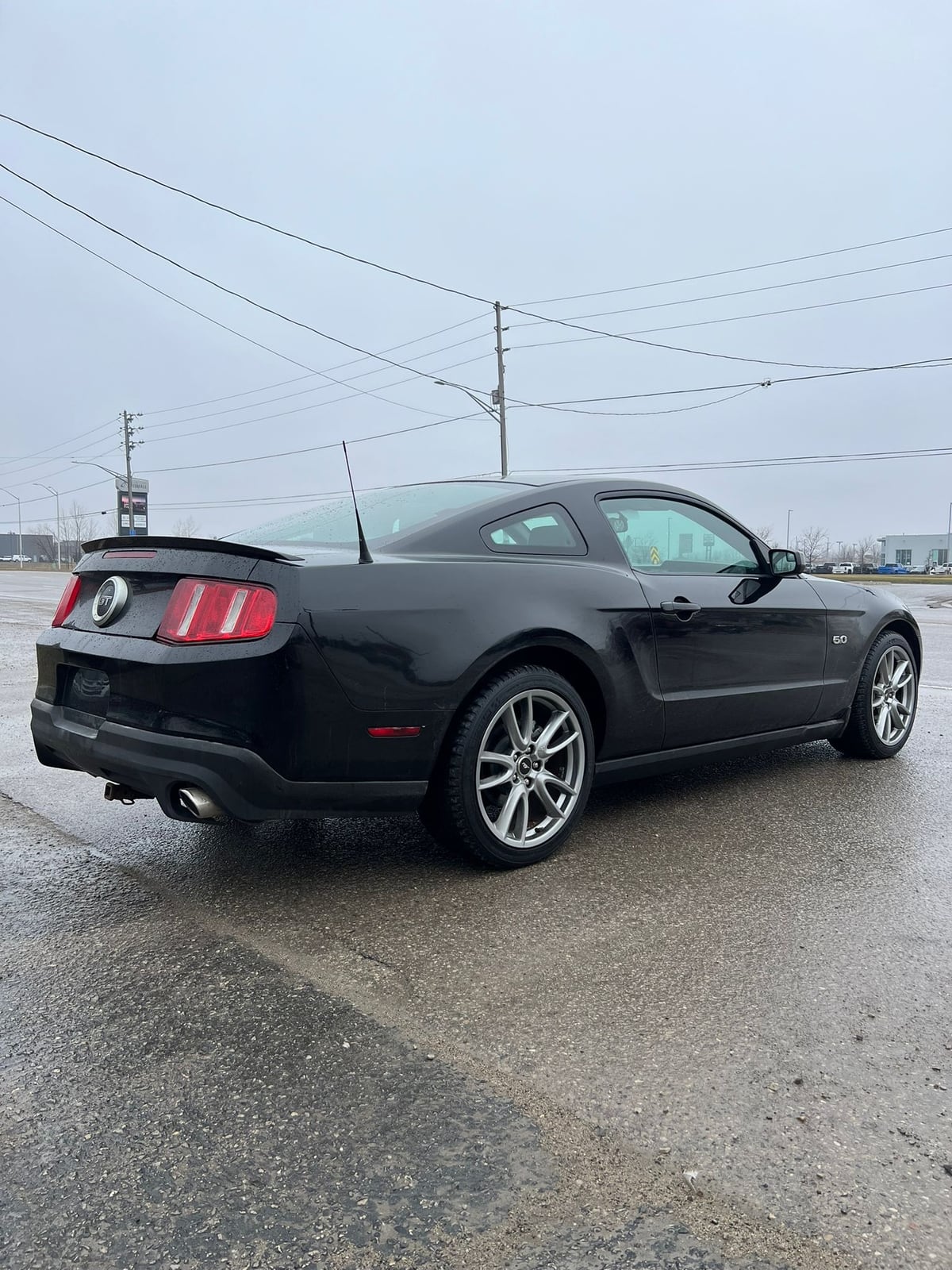 2012 Ford MUSTANG GT 5.0L COUPE 2DR BLACK rear three-quarter exterior view showing distinctive red taillights and polished alloy wheels.