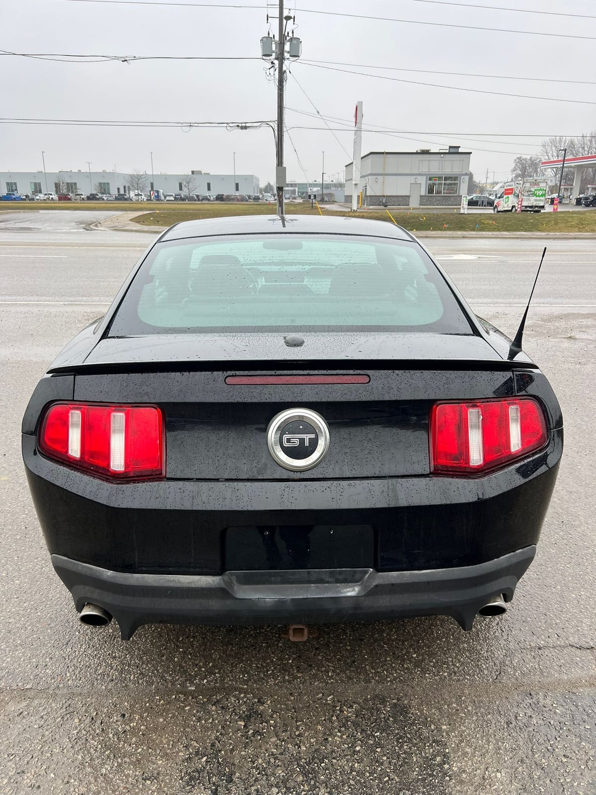 2012 Ford MUSTANG GT 5.0L COUPE 2DR BLACK rear exterior view showing red taillights and GT badging in parking lot.